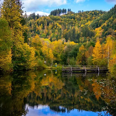 Panoramablick Schonach im Schwarzwald