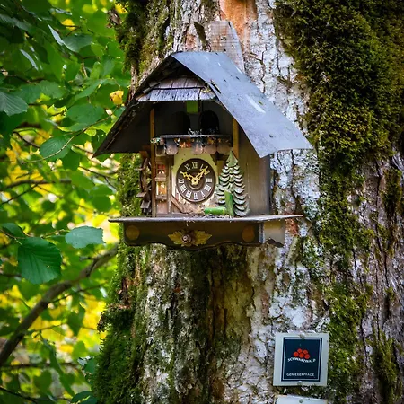 Panoramablick Schonach im Schwarzwald